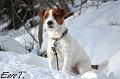 090208 pyry